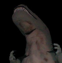 dinosaur
