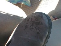 beer on shoe