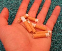 Cigarette
Butts